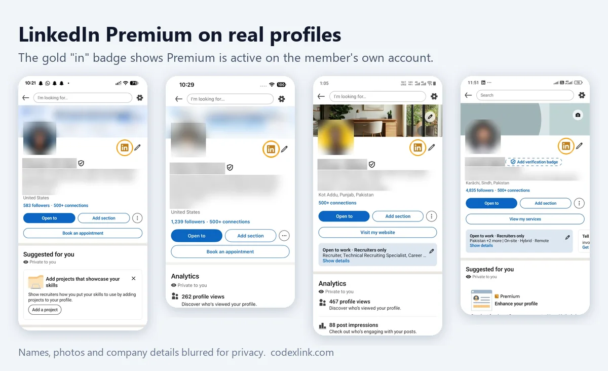 LinkedIn profiles with the gold Premium badge, names and photos blurred