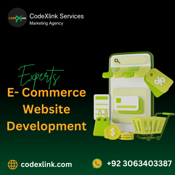 Ecommerce Website Development Fully Optimized